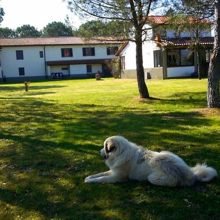 Artenatura Beb Terranuova Bracciolini Εξωτερικό φωτογραφία