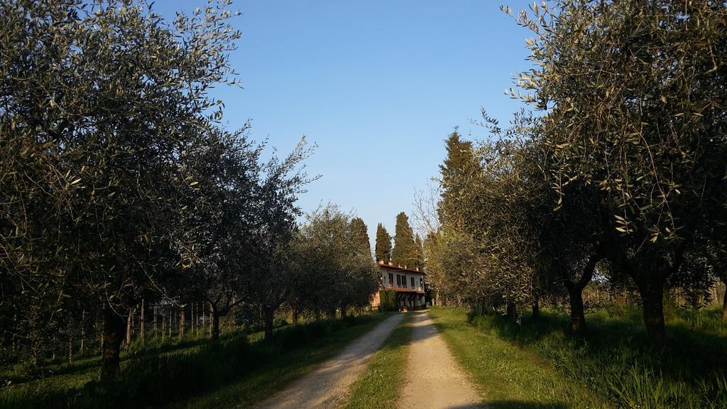 Artenatura Beb Terranuova Bracciolini Εξωτερικό φωτογραφία