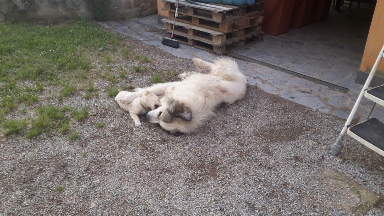 Artenatura Beb Terranuova Bracciolini Εξωτερικό φωτογραφία
